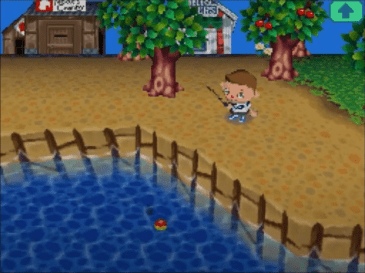 Animal_Crossing_Wild_World_Gameplay.png